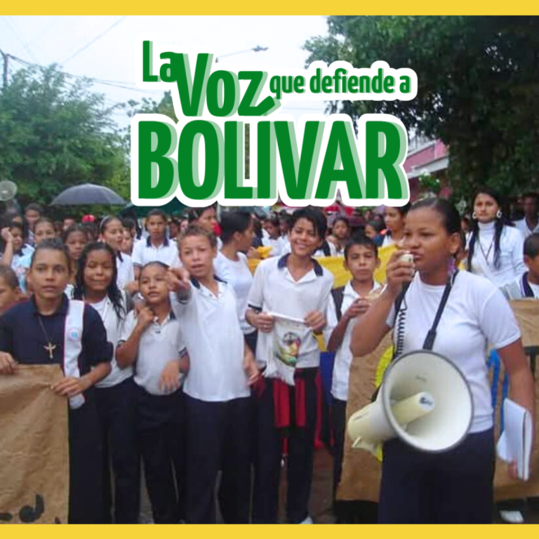 proyecto 3  representante karina orozco arevalo